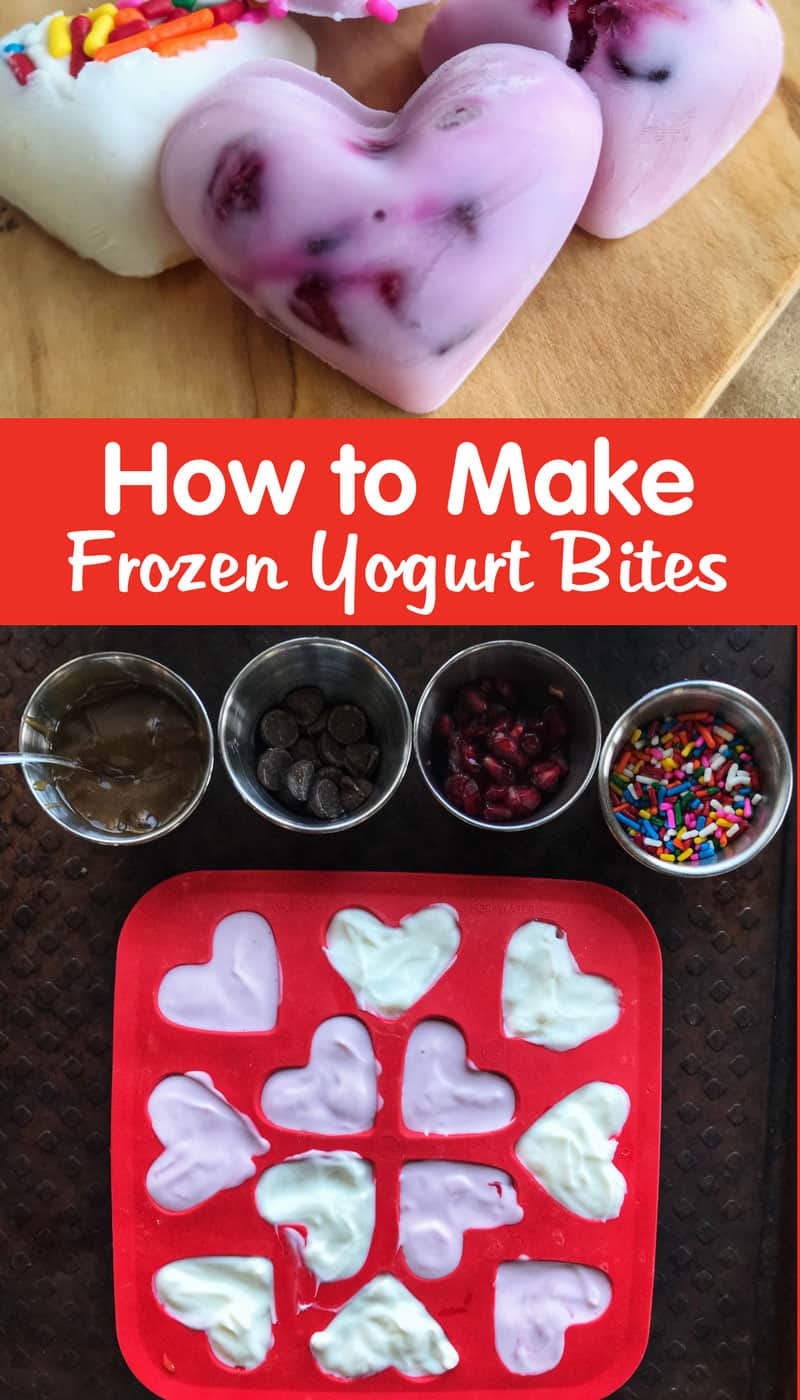 https://www.healthyfamilyproject.com/wp-content/uploads/2018/02/How-to-Make-Frozen-Yogurt-Bites.jpg