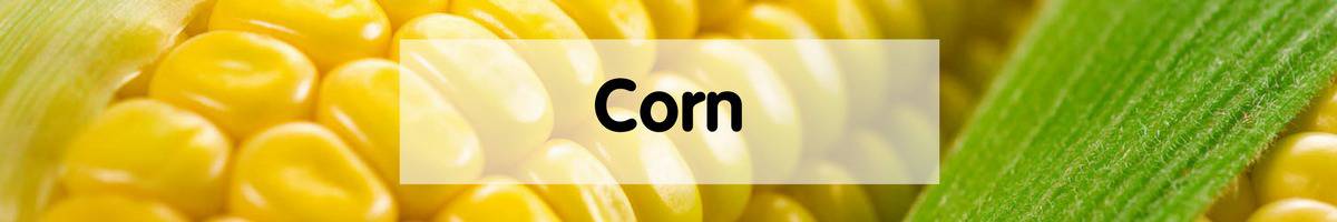 Corn