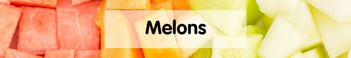Melon